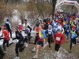 k-IMG_4565