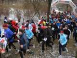 k-IMG_4574