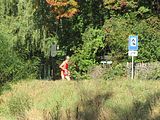 IMG_2025