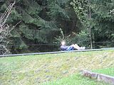 IMG_1303
