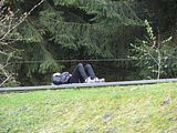 IMG_1304
