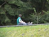 IMG_1305