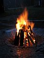 IMG_1881
