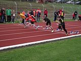 DSCF5300_800x600