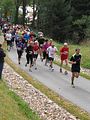 IMG_4582