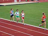 P1010550
